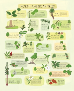 Sample content_Nature Anatomy Posters