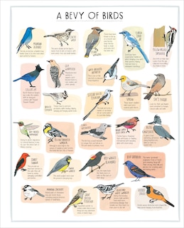 Sample content 2_Nature Anatomy Posters