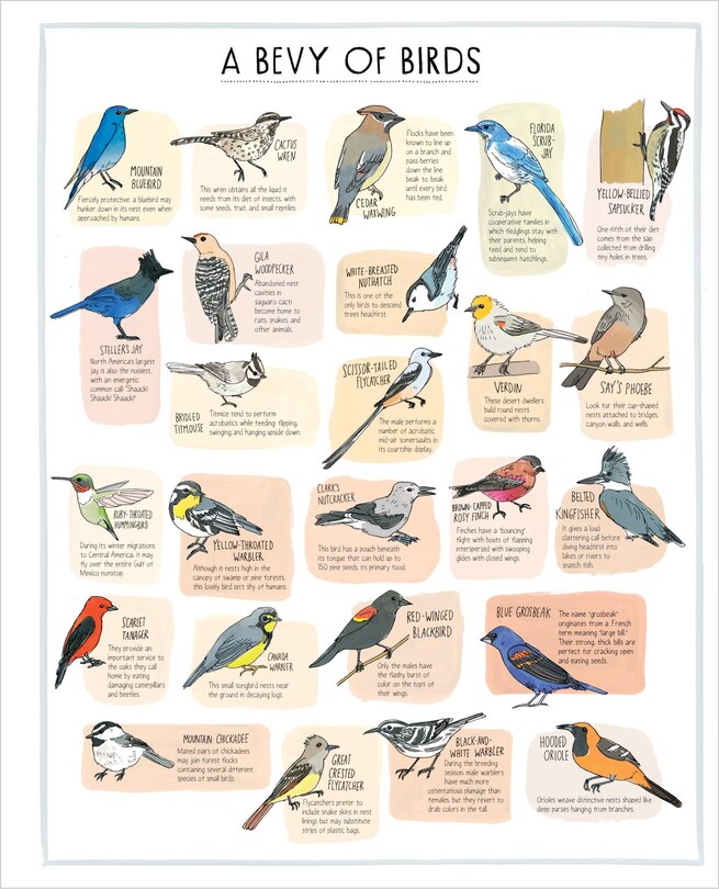 Sample content 2_Nature Anatomy Posters