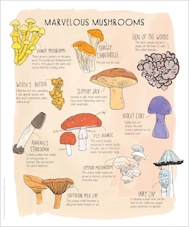 Sample content 3_Nature Anatomy Posters