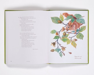 Aper&ccedil;u du contenu_Nature Notes of an Edwardian Lady