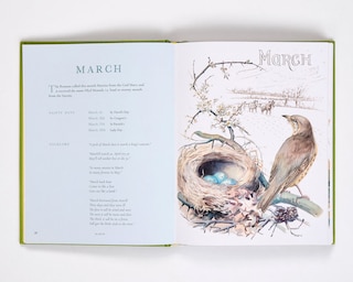 Aper&ccedil;u du contenu 4_Nature Notes of an Edwardian Lady