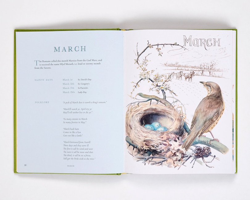 Aper&ccedil;u du contenu 4_Nature Notes of an Edwardian Lady