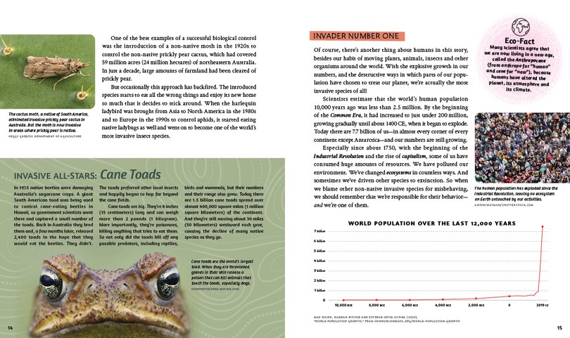 Sample content_Nature Out Of Balance