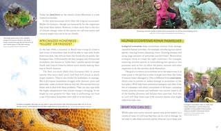 Sample content 3_Nature Out Of Balance