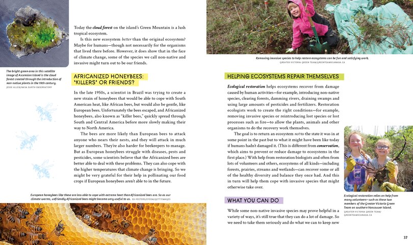 Sample content 3_Nature Out Of Balance