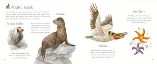 Aper&ccedil;u du contenu_Nature&rsquo;s Treasures of North America