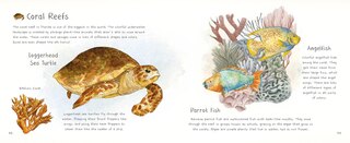 Aper&ccedil;u du contenu 2_Nature&rsquo;s Treasures of North America