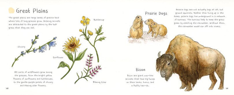 Aper&ccedil;u du contenu 3_Nature&rsquo;s Treasures of North America