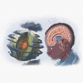 Sample content 2_Ned's Head