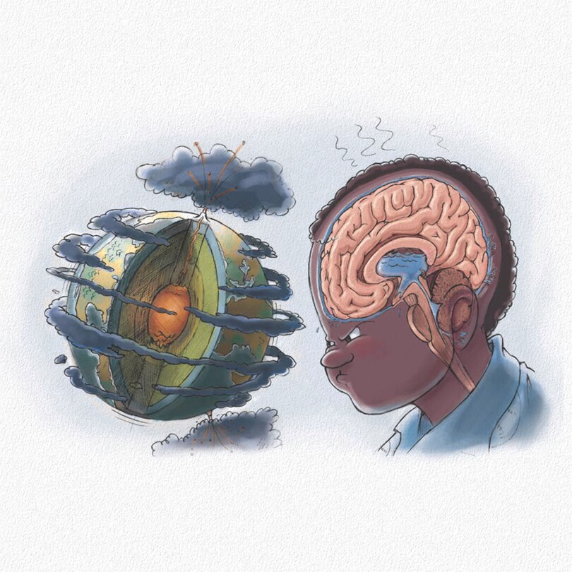 Sample content 2_Ned's Head