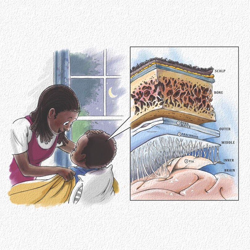 Sample content 3_Ned's Head