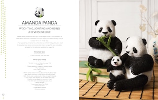 Aperçu du contenu_Needle Felting For Beginners