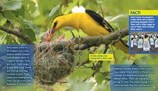 Sample content_Nests (Learn About: Animal Homes)