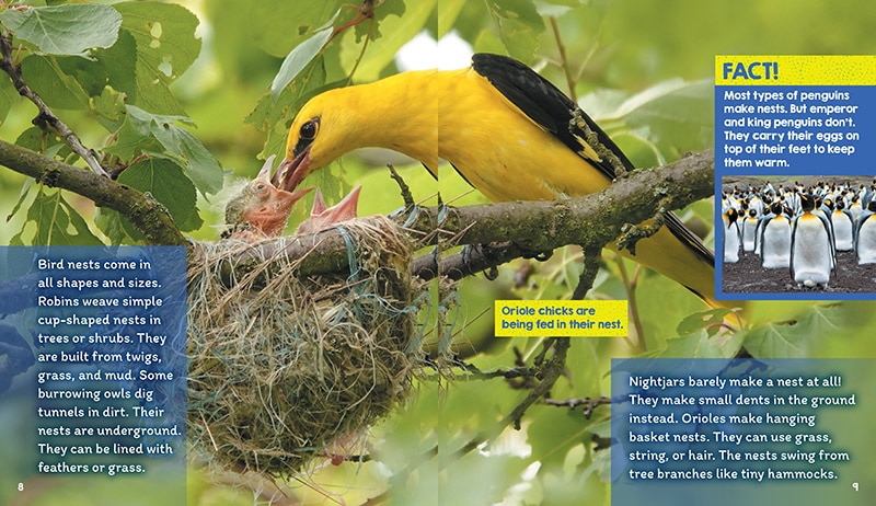 Sample content_Nests (Learn About: Animal Homes)