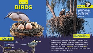 Sample content 2_Nests (Learn About: Animal Homes)