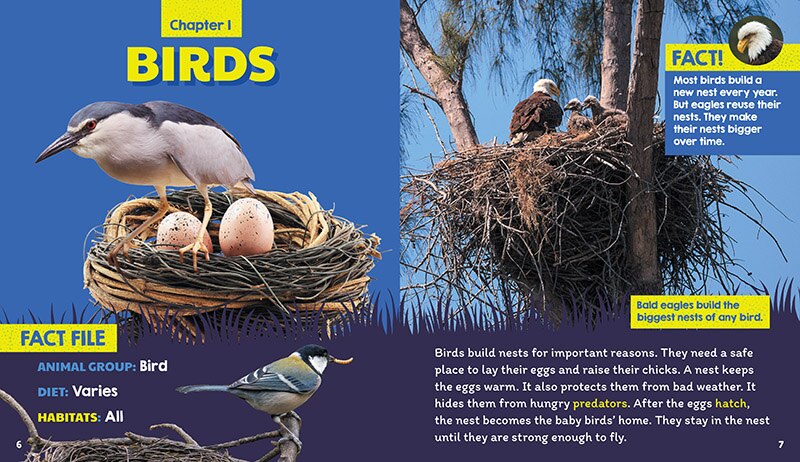 Sample content 2_Nests (Learn About: Animal Homes)