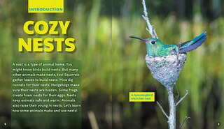 Sample content 3_Nests (Learn About: Animal Homes)