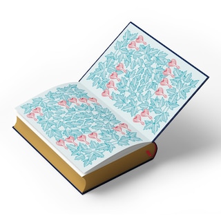 Aper&ccedil;u du contenu 2_New Moon: Deluxe Collector&rsquo;s Edition