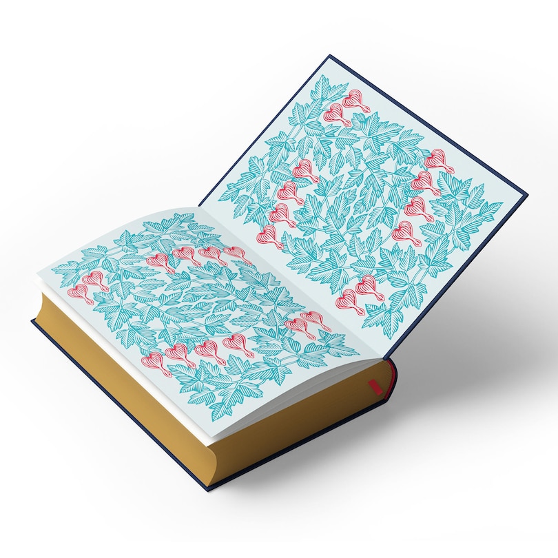 Aper&ccedil;u du contenu 2_New Moon: Deluxe Collector&rsquo;s Edition