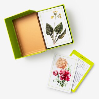 Sample content 4_New York Botanical Garden Herb Identification Flashcards