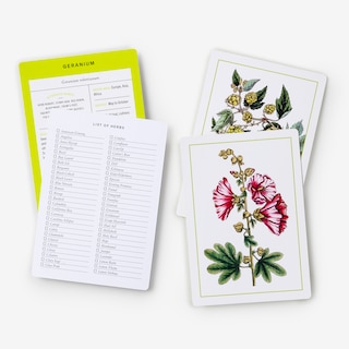 Sample content 5_New York Botanical Garden Herb Identification Flashcards