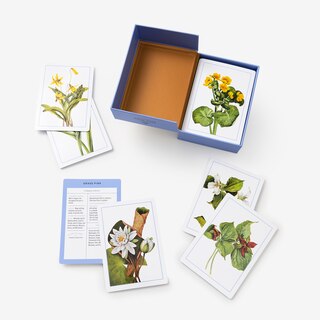 Sample content 2_New York Botanical Garden Wildflower Identification Flashcards