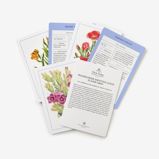 Sample content 3_New York Botanical Garden Wildflower Identification Flashcards