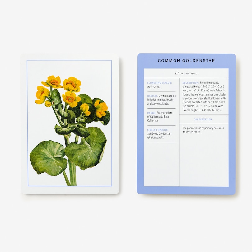 Sample content 4_New York Botanical Garden Wildflower Identification Flashcards