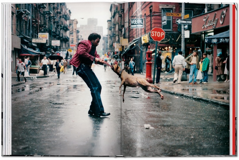 Sample content 2_New York. Portrait of a City