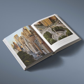 Aperçu du contenu_New York: The Extraordinary Guide