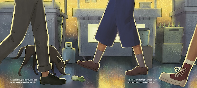 Aper&ccedil;u du contenu 3_Night Market Rescue