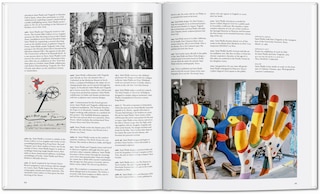 Aper&ccedil;u du contenu_Niki de Saint Phalle