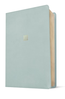 Sample content 3_NLT Every Woman’s Bible, Filament Enabled (LeatherLike, Sky Blue, Red Letter)