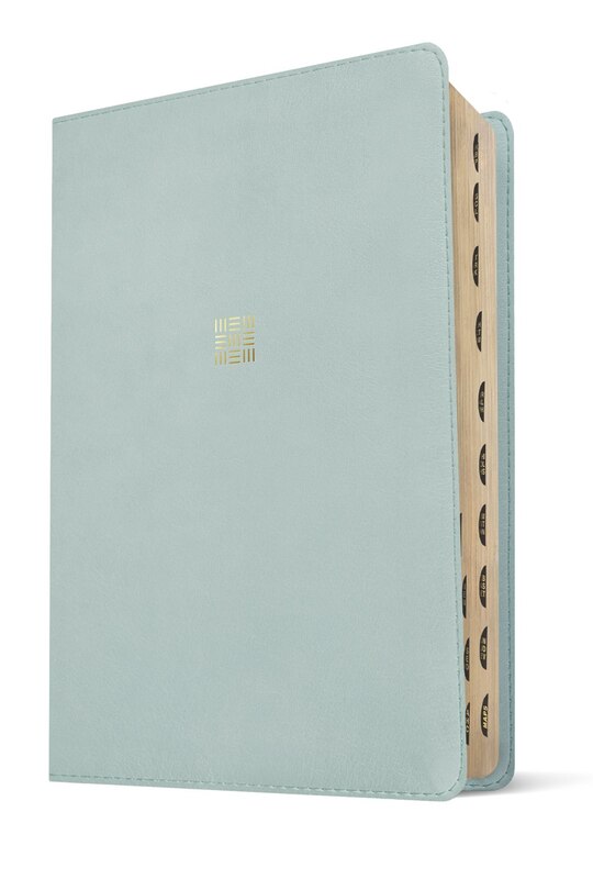 Aperçu du contenu 3_NLT Every Woman’s Bible, Filament Enabled (LeatherLike, Sky Blue, Indexed, Red Letter)