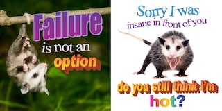 Sample content 3_No Thoughts Just Possums