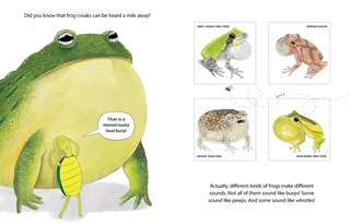 Sample content 2_Nobody Likes Frogs