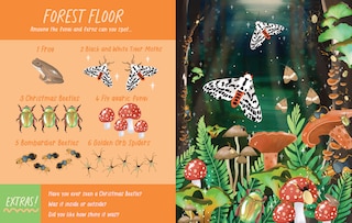 Sample content 2_Nocturnal Creatures Search and Find