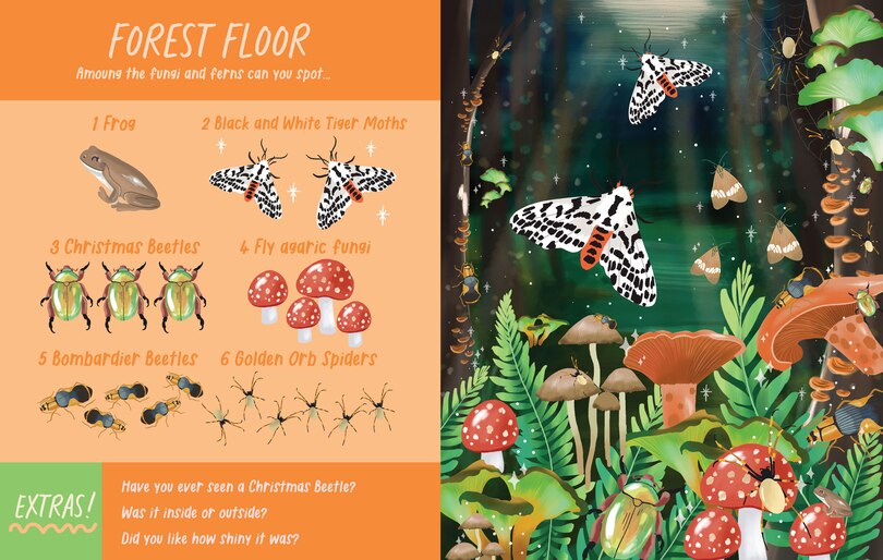 Sample content 2_Nocturnal Creatures Search and Find