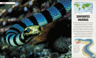 Aper&ccedil;u du contenu_Oc&eacute;anos incre&iacute;bles (Amazing Oceans)