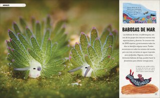 Aper&ccedil;u du contenu 2_Oc&eacute;anos incre&iacute;bles (Amazing Oceans)