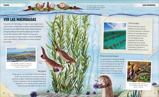 Aper&ccedil;u du contenu 3_Oc&eacute;anos incre&iacute;bles (Amazing Oceans)