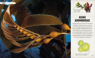 Aper&ccedil;u du contenu 5_Oc&eacute;anos incre&iacute;bles (Amazing Oceans)