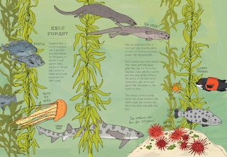 Aperçu du contenu_Ocean Anatomy