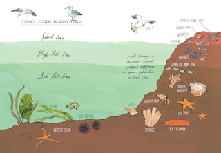 Aperçu du contenu 2_Ocean Anatomy