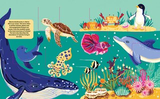 Aper&ccedil;u du contenu_Ocean Life