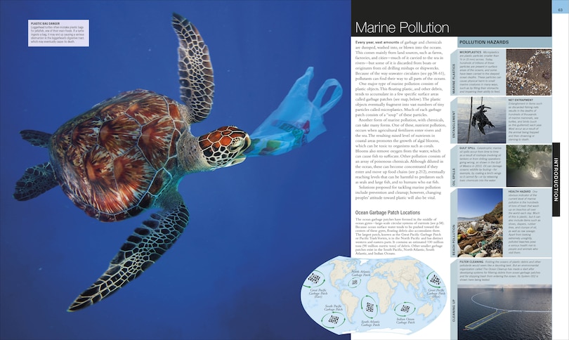 Sample content 2_Ocean, New Edition