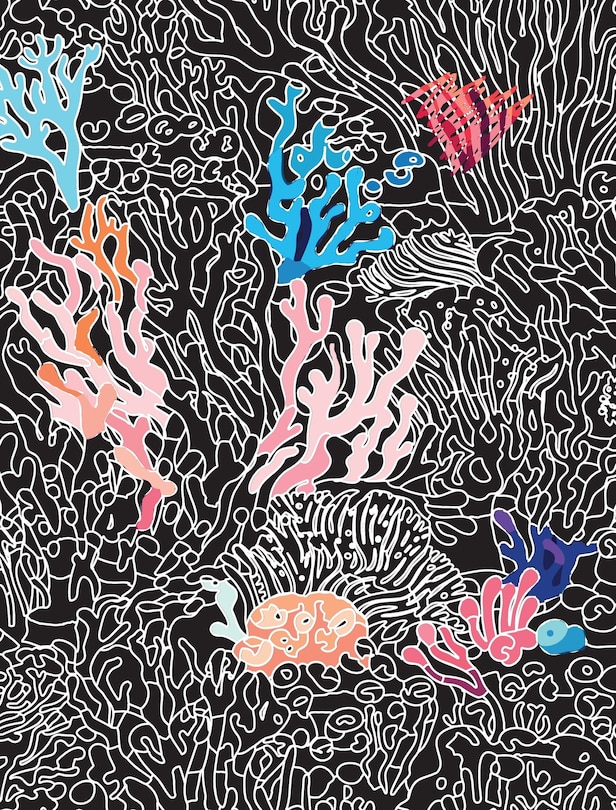 Aper&ccedil;u du contenu_Ocean Wonders