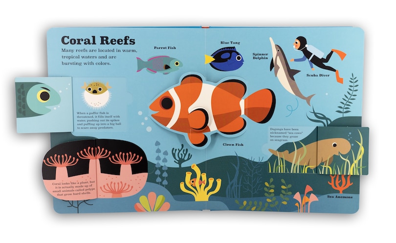Sample content 2_Oceans: A Pop-Up Book