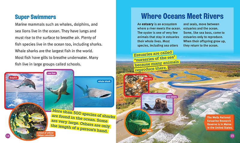 Sample content 3_Oceans in Danger (A True Book: The Earth at Risk)